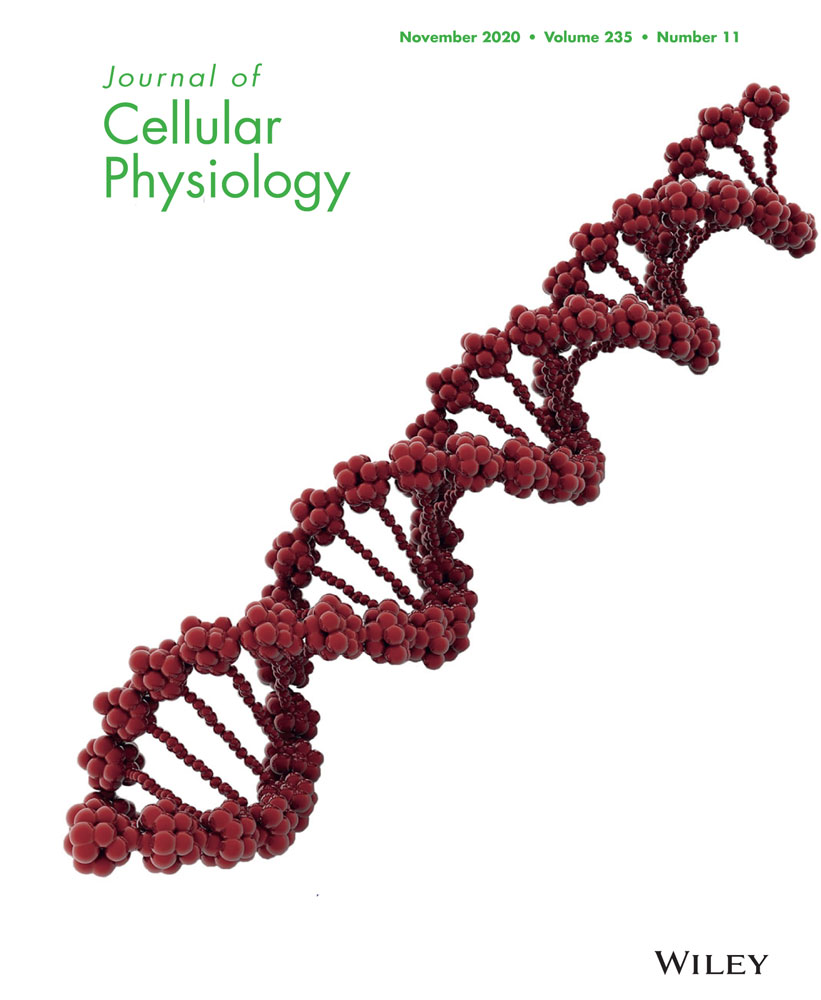 JOURNAL OF CELLULARPHYSIOLOGY
